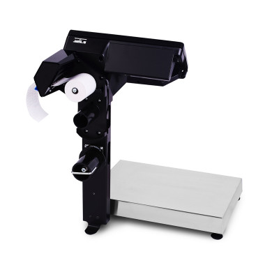 Весы с печатью этикеток Масса-К МК-6.2-RP10-1 Весы с печатью этикеток Масса-К МК-6.2-RP10-1